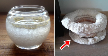 Đặt bát muối ở góc nhà có tác dụng gì ?